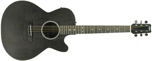 RainSong Guitar