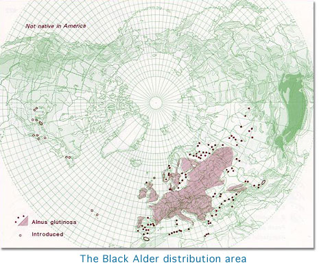 The alder distribution area