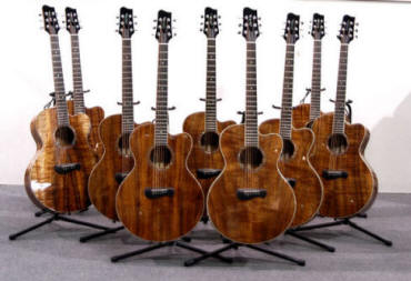 Koa Guitars, Tacoma Guitars
