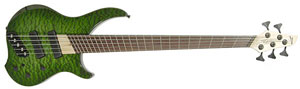 Dingwall Bass Guitar